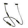 ISOtunes Pro Earbuds IT-02