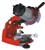 Tecomec Jolly Star Chain Grinder